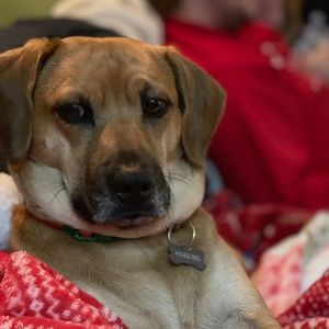 Meet your Posher, Rebecca